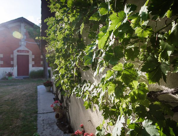 location-soulac-sur-mer-villa-logements-12