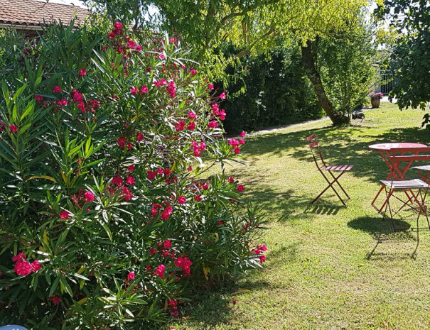 location-soulac-sur-mer-villa-logements-9